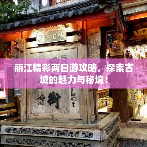 新聞動態 第12頁