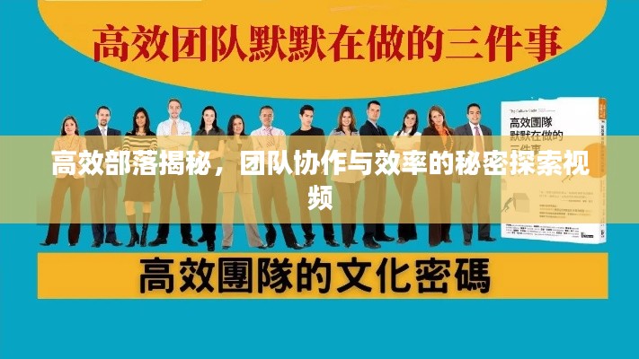 高效部落揭秘，團隊協作與效率的秘密探索視頻