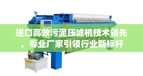 進(jìn)口高效污泥壓濾機(jī)技術(shù)領(lǐng)先，專業(yè)廠家引領(lǐng)行業(yè)新標(biāo)桿