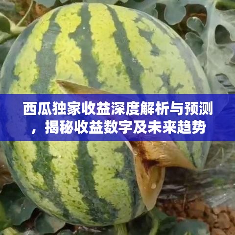 西瓜獨家收益深度解析與預(yù)測，揭秘收益數(shù)字及未來趨勢