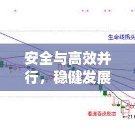 飛來飛去