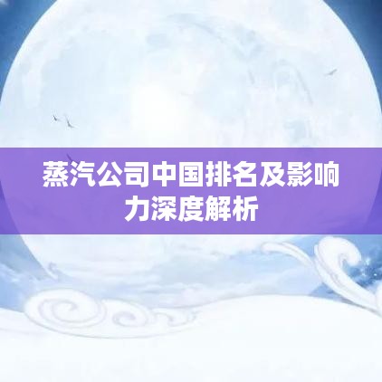 蒸汽公司中國(guó)排名及影響力深度解析