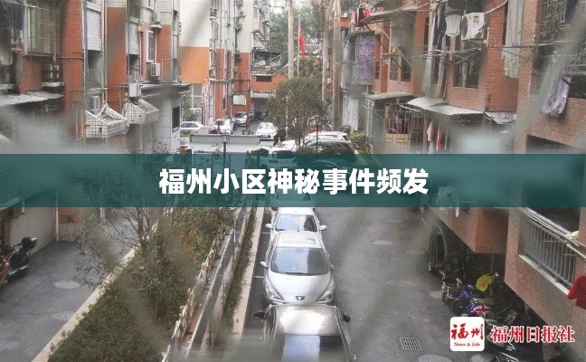 鳳凰于飛