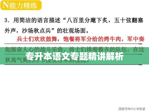 專升本語文專題精講解析