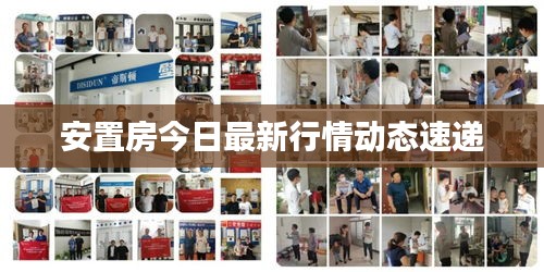 安置房今日最新行情動態速遞