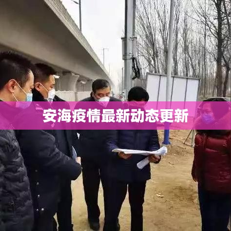 安海疫情最新動態(tài)更新
