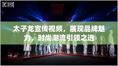 太子龍宣傳視頻，展現品牌魅力，時尚潮流引領之選