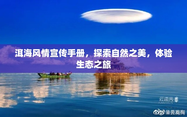 關(guān)于我們 第7頁