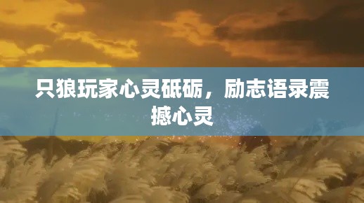 只狼玩家心靈砥礪，勵志語錄震撼心靈