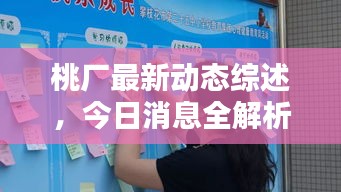 桃廠最新動(dòng)態(tài)綜述，今日消息全解析