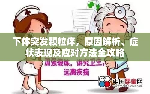 下體突發(fā)顆粒癢，原因解析、癥狀表現(xiàn)及應(yīng)對方法全攻略