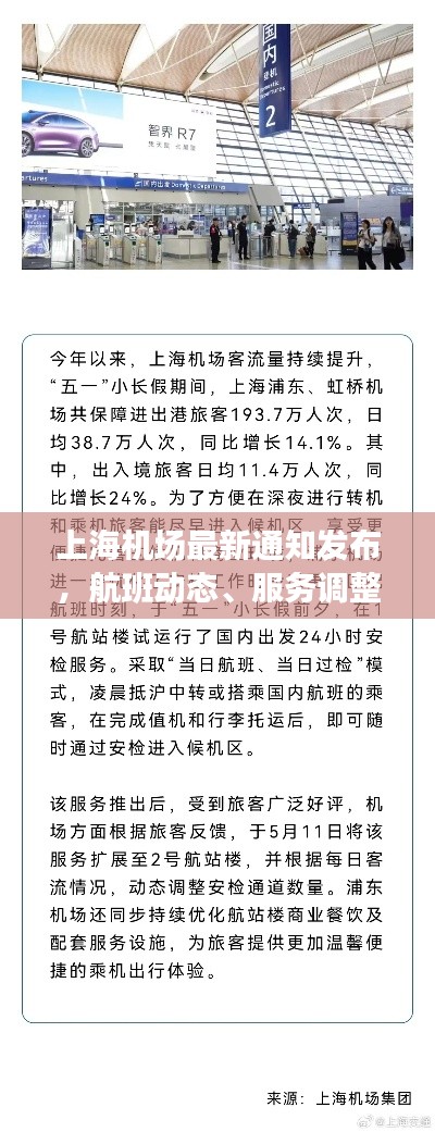 樸實無華
