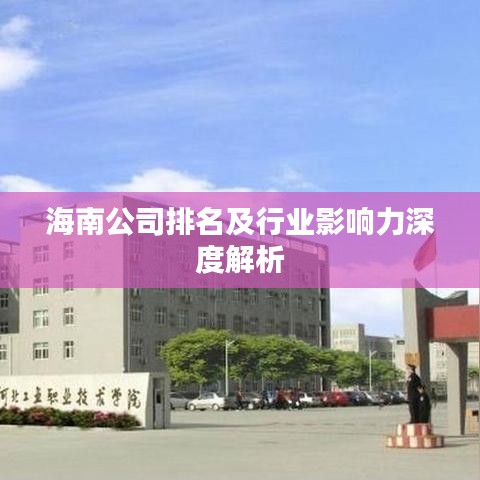 海南公司排名及行業(yè)影響力深度解析
