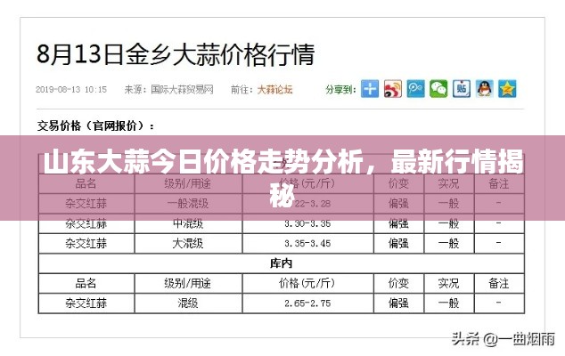 山東大蒜今日價格走勢分析，最新行情揭秘