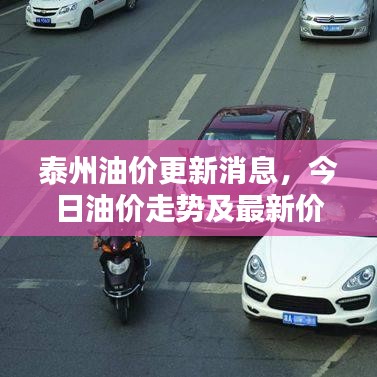 泰州油價更新消息，今日油價走勢及最新價格表全解析