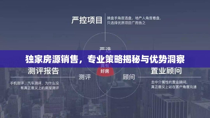 獨家房源銷售，專業策略揭秘與優勢洞察