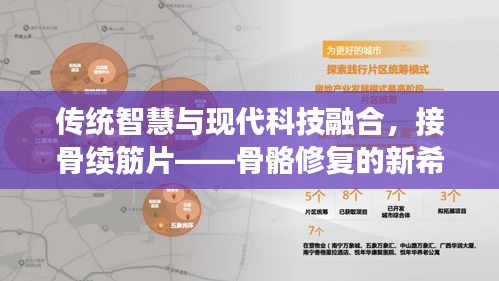 傳統(tǒng)智慧與現(xiàn)代科技融合，接骨續(xù)筋片——骨骼修復(fù)的新希望