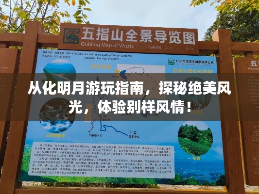 從化明月游玩指南，探秘絕美風(fēng)光，體驗(yàn)別樣風(fēng)情！