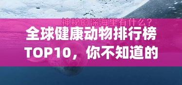 全球健康動物排行榜TOP10，你不知道的神奇生物！