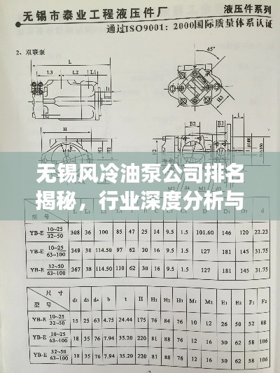 無錫風冷油泵公司排名揭秘，行業深度分析與趨勢解讀