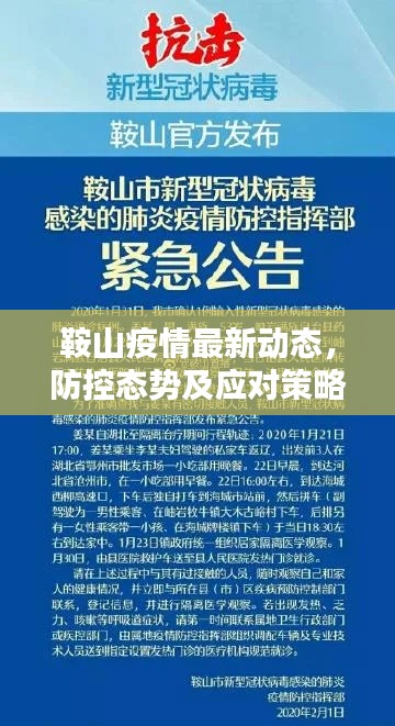 鞍山疫情最新動態(tài)，防控態(tài)勢及應(yīng)對策略揭秘