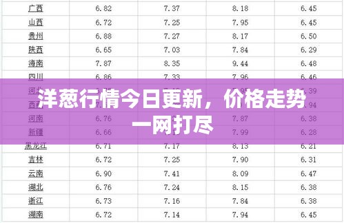 洋蔥行情今日更新，價格走勢一網(wǎng)打盡